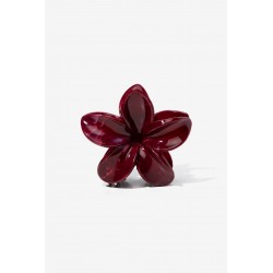 Pinza HAIR_1323
