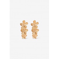 Pendientes EAR_7637