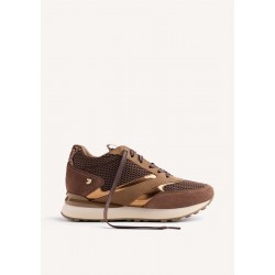 Deportivo Gioseppo 77000