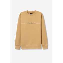 Sudadera Ethan