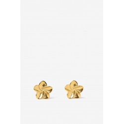 Pendientes EAR_10603